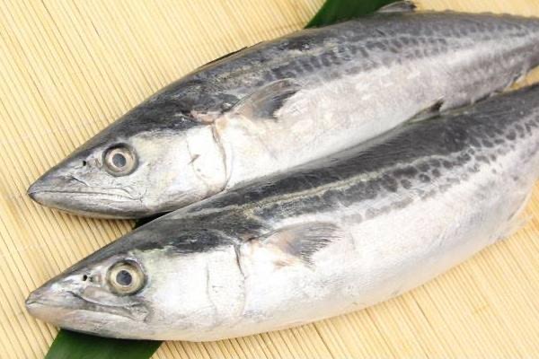 好吃營養高,認準這4種是野生海魚！
